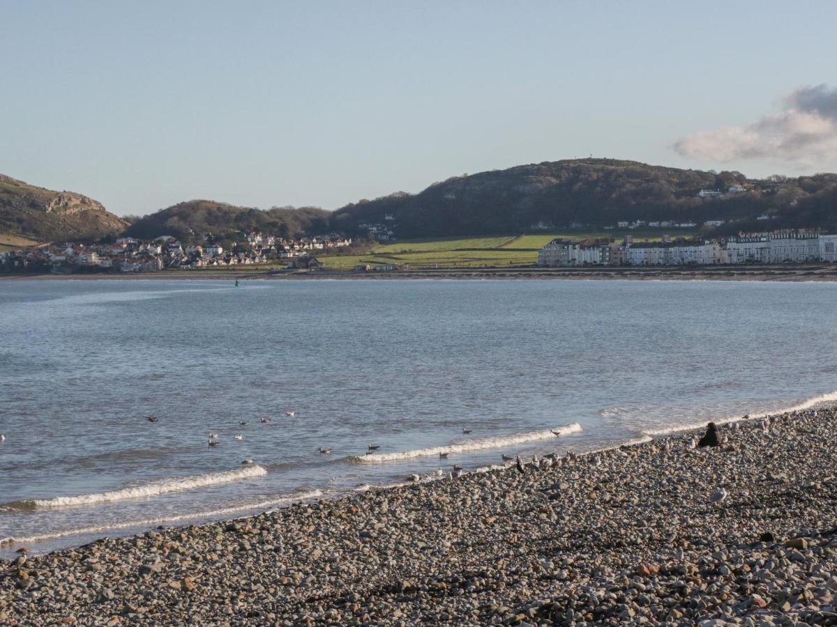40 Lloyd Street West Villa Llandudno Eksteriør billede